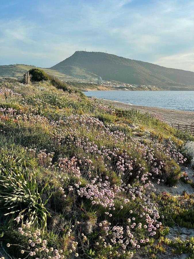 Zaffiro casa vacanze al mare Valledoria  Esterno foto
