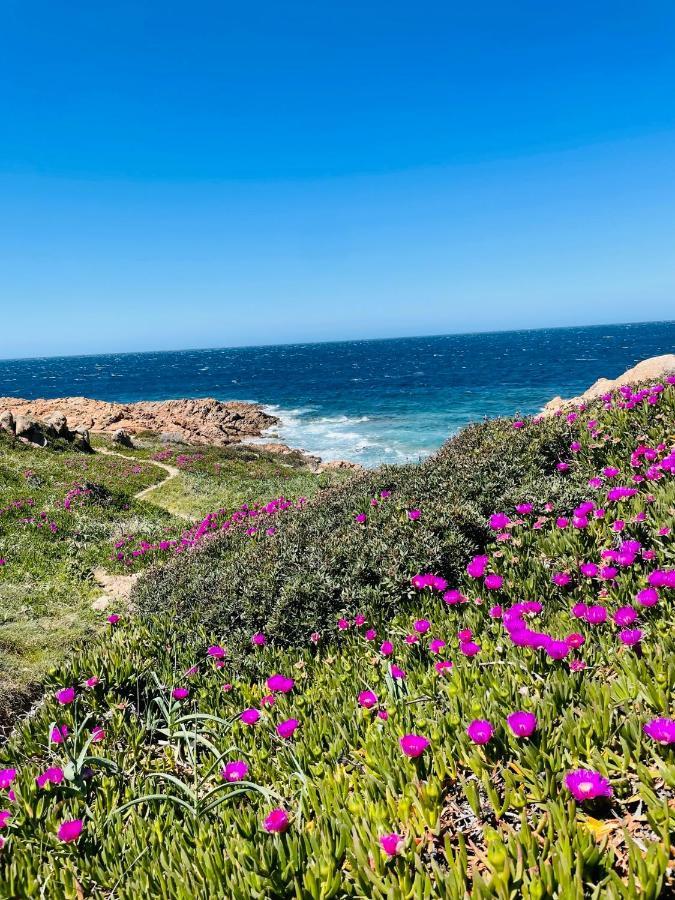 Zaffiro casa vacanze al mare Valledoria  Esterno foto