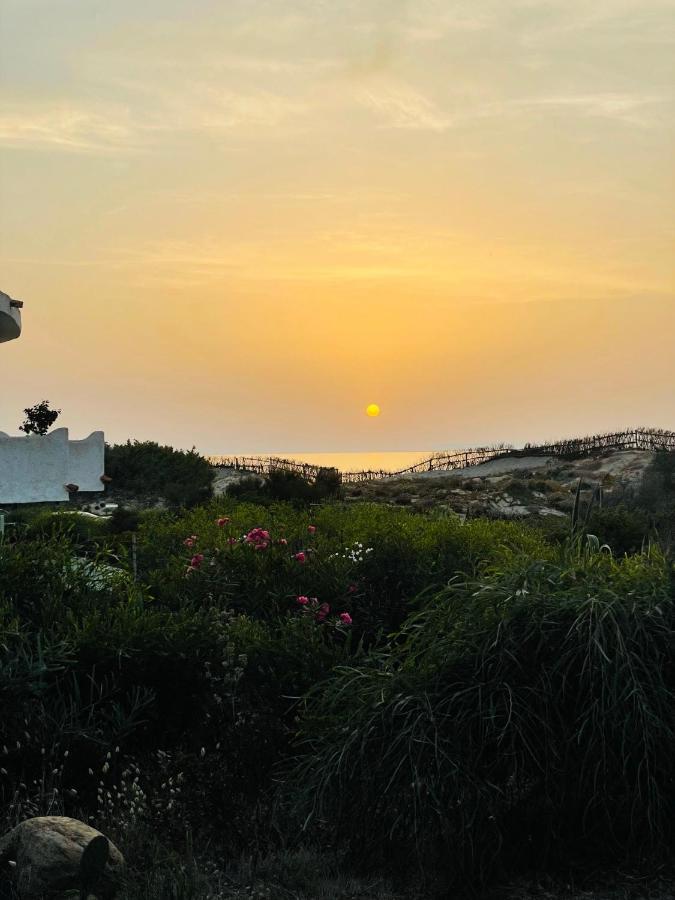 Zaffiro casa vacanze al mare Valledoria  Esterno foto